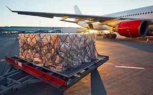 Trans Pacific Forwarding Image